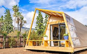 Glamping In The Urban